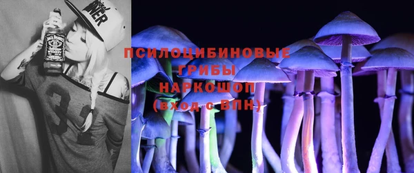 молекула духа Алексеевка