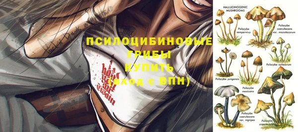 apvp Алзамай