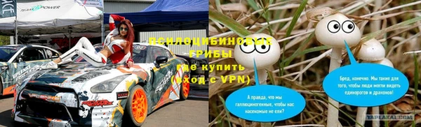 apvp Алзамай